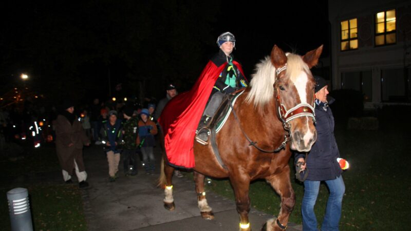 Bad Feilnbachs Kindergärten feierten St. Martin