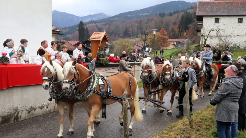 Leonhard um Beistand in einer zerrissenen Welt bitten
