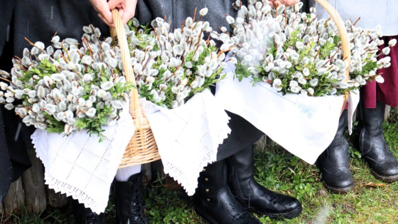 Palmsegnung von Schnee und Nasses Kälte umrahmt