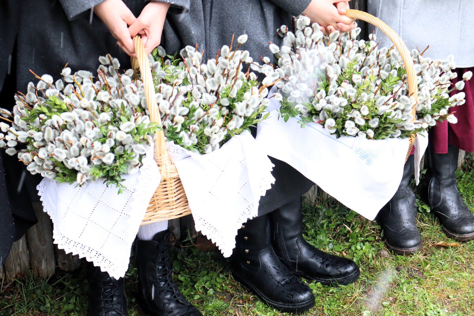 Palmsegnung von Schnee und Nasses Kälte umrahmt